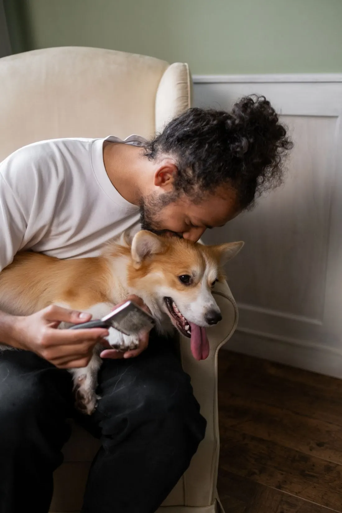 Homem beija a cabeça de um cão corgi no colo